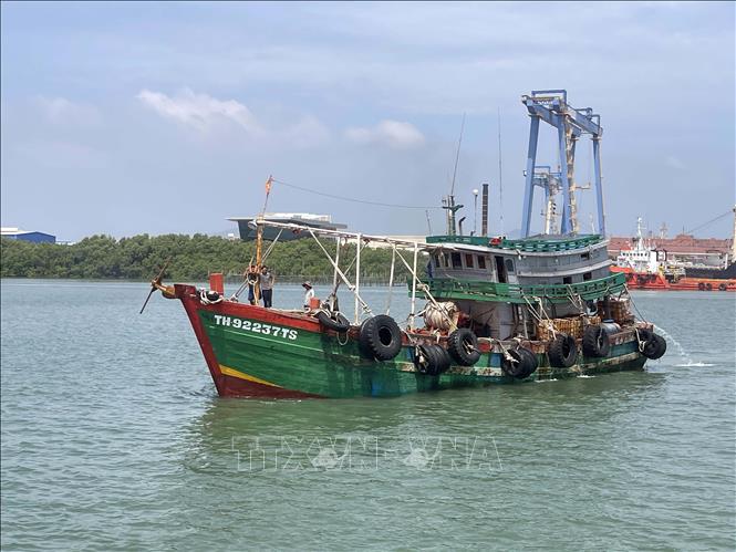 Phát hiện tàu cá vận chuyển 80.000 lít dầu D.O không rõ nguồn gốc- Ảnh 2.