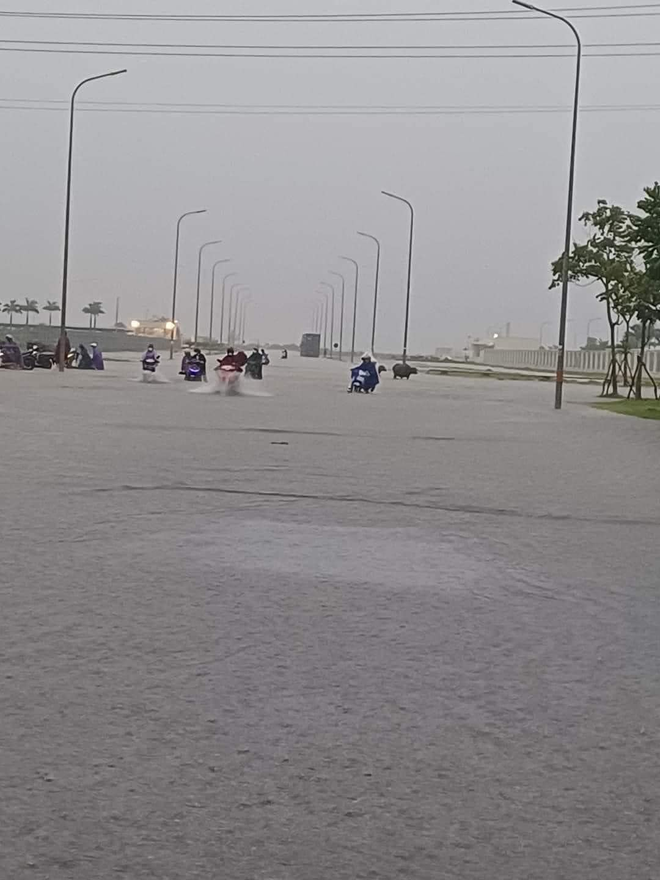 Choáng với hình ảnh ngập nặng nề nhiều khu vực ở Quảng Ninh, Hải Phòng sau mưa lớn- Ảnh 3.