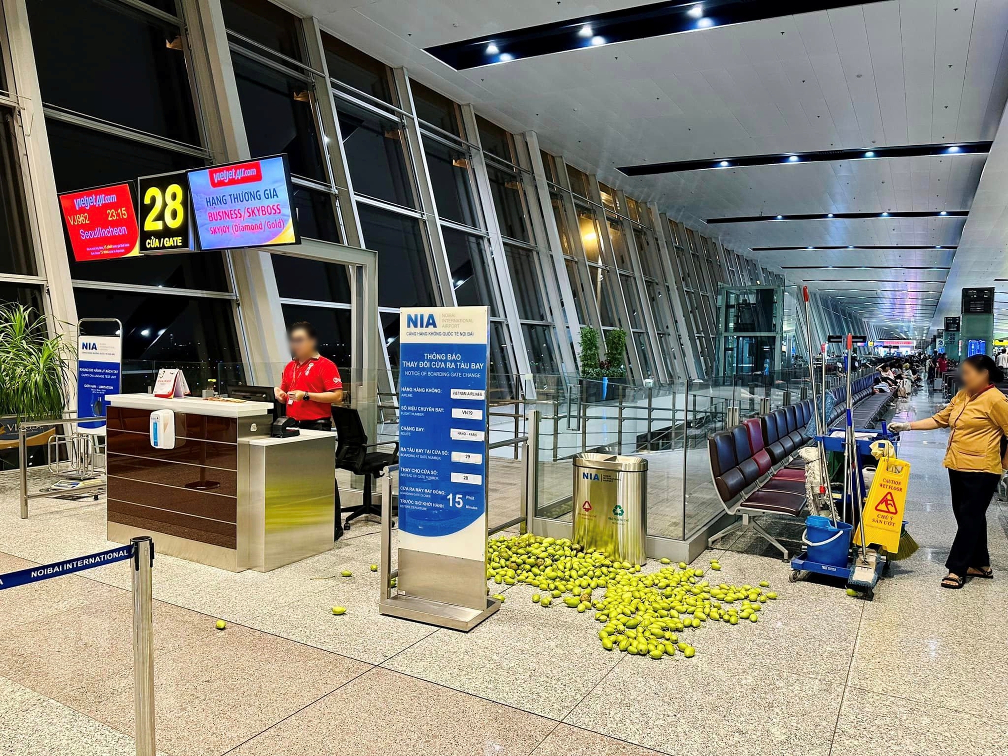 Xôn xao hình ảnh cả chục cân xoài bị hành khách bỏ lại, nằm lăn lóc trên sàn nhà ga sân bay Nội Bài- Ảnh 2.