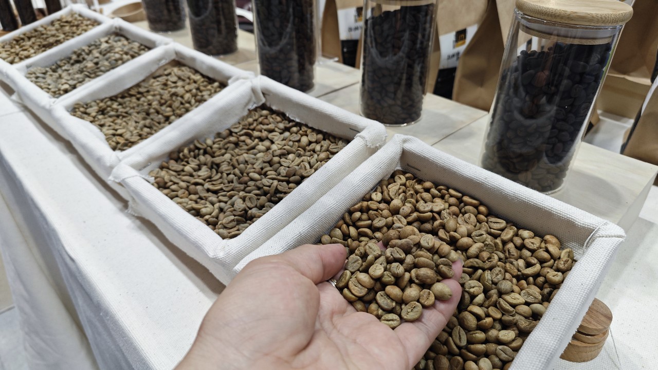 Sốc với giá cà phê Robusta- Ảnh 1.