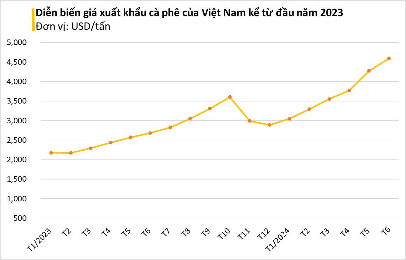 The world's largest producer of Vietnamese nuts is in danger - prices hit a 13-year high, expected to continue to skyrocket - Photo 2.