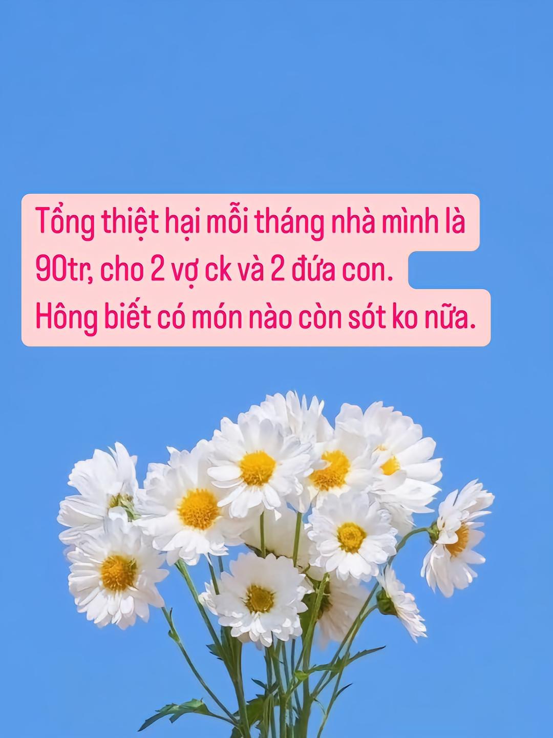 Chi phí của mẹ 2 con ở Hà Nội khiến chị em bàn luận rôm rả: Tiêu 90 triệu/tháng mà vẫn phải ở nhà thuê?- Ảnh 2.