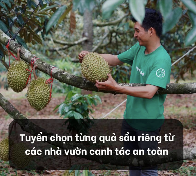 Toàn bộ diễn biến khó lường vụ O Huyền Sầu Riêng: Vài câu vạ miệng với Quang Linh Vlogs, lao đao cả sự nghiệp- Ảnh 10.