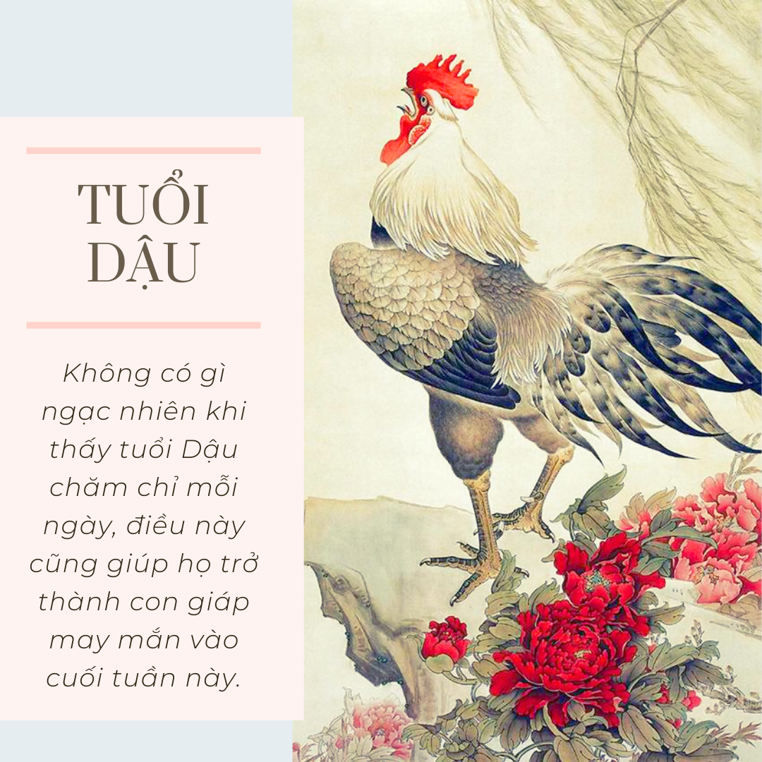 Cuối tuần này (11/7-14/7), 4 con giáp có Thần tài độ trì, càng ngày càng may mắn cả tiền lẫn tình- Ảnh 1.