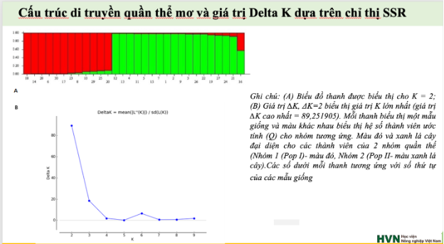 Xây dựng cơ sở dữ liệu và mã vạch ADN cho cây mơ Hương Tích- Ảnh 2.