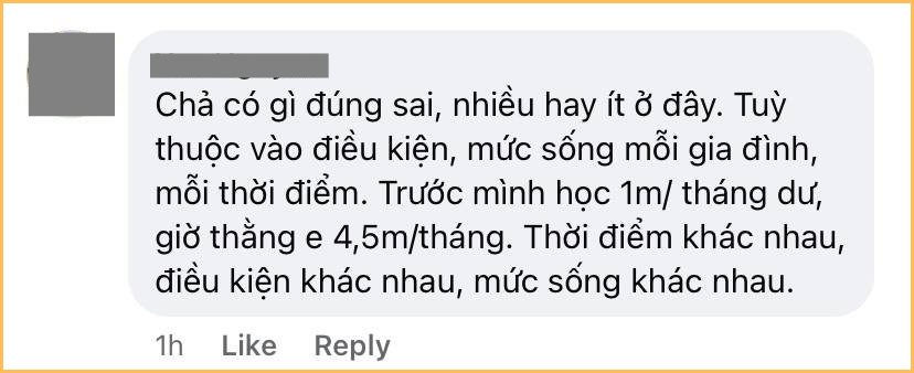 Nỗi khổ của sinh viên thời nay: Tiền bố mẹ cho không đủ tiêu, không dám than và cũng tìm đủ cách xoay sở mà vẫn bị gắn mác “ăn hại, không biết thương bố mẹ”- Ảnh 6.