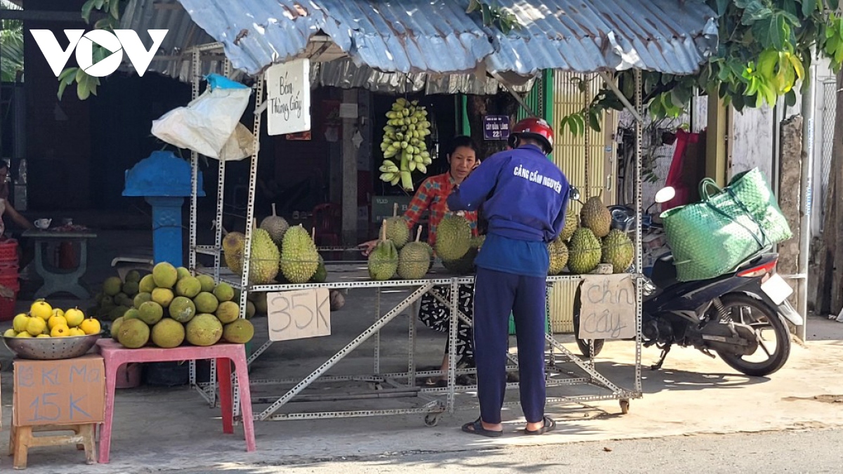 Trái sầu riêng nghịch vụ ở Tiền Giang khan hàng, sốt giá- Ảnh 1.