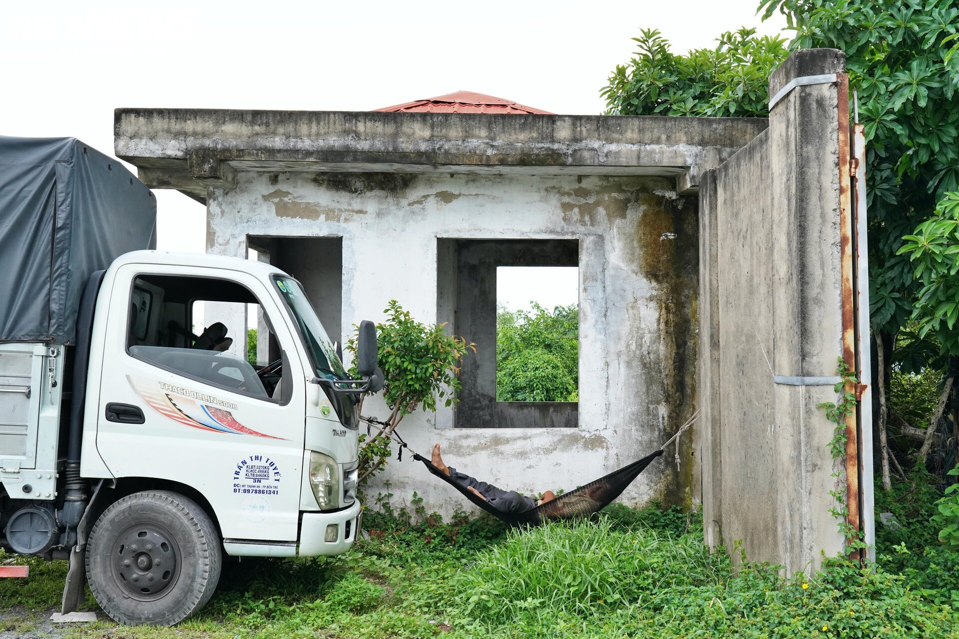 26ha đất làm Depot Metro TP.HCM bị bỏ hoang, thành nơi chăn thả gia súc- Ảnh 5.