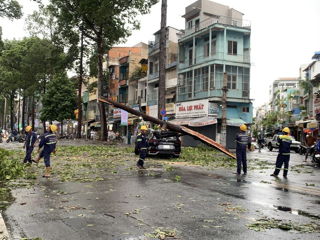 TP HCM: Nhiều cây xanh bật gốc, ô tô gặp nạn trên đường Ngô Gia Tự- Ảnh 3.