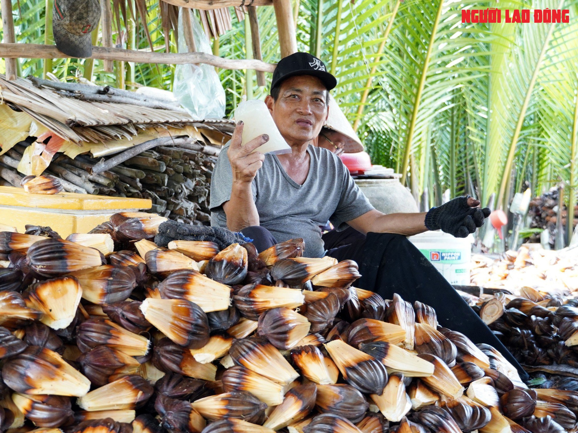 Loại trái từng bỏ đi, giờ đem về tiền triệu cho người miền Tây- Ảnh 20.