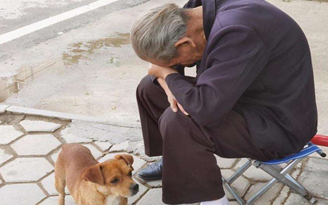 Trong các gia đình, những kiểu con cái này bề ngoài có vẻ hiếu thảo nhưng thực chất lại là “thảm họa” cho cha mẹ- Ảnh 1.