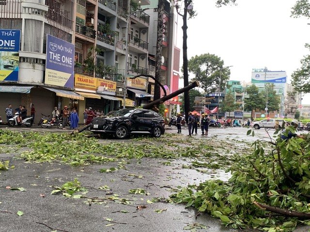 TP HCM: Nhiều cây xanh bật gốc, ô tô gặp nạn trên đường Ngô Gia Tự- Ảnh 1.