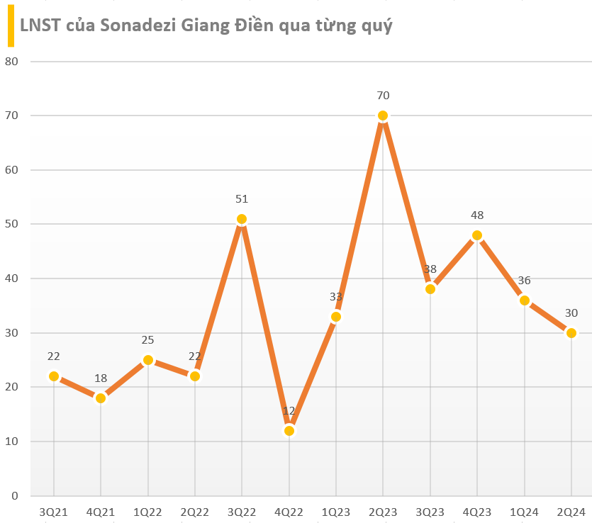 Cập nhật BCTC quý 2/2024 ngày 15/7: Một DN ô tô lâu đời có doanh thu một quý chỉ bằng 2 chiếc VinFast VF9, loạt công ty điện, BĐS báo lãi giảm- Ảnh 3.