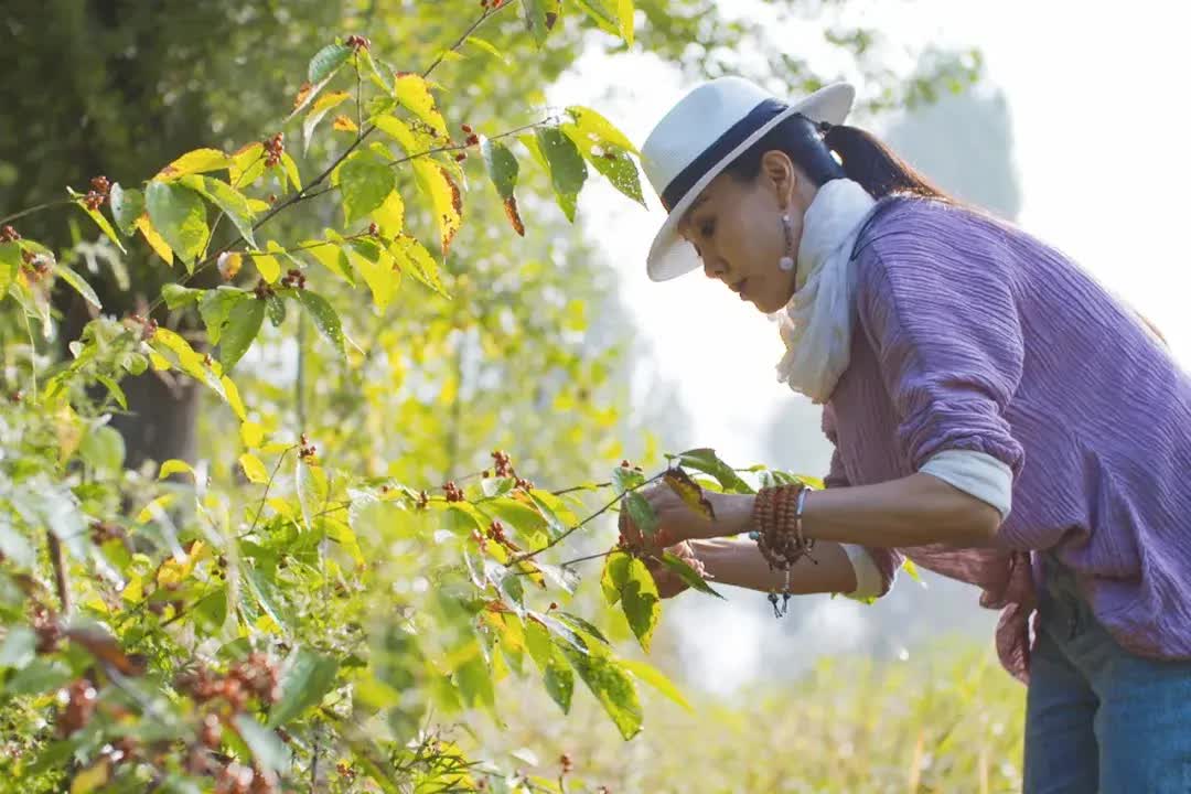 Làng hưu trí dành cho phụ nữ ở ngoại ô: Mọi người đều có thể tự nuôi sống bản thân- Ảnh 14.