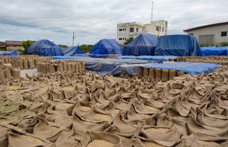 'Báu vật' nhà trồng được của Việt Nam sang Ukraine đắt như tôm tươi: Xuất khẩu tăng nóng 3.800%, toàn cầu đều đang tìm đến nước ta mua hàng- Ảnh 1.