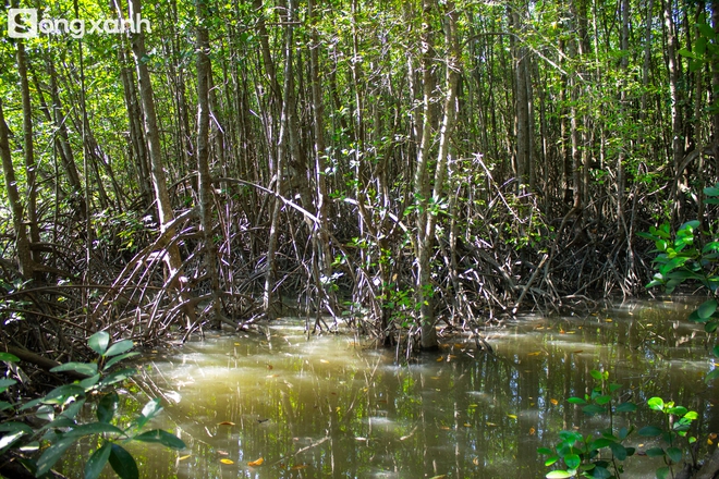 Khám phá bí mật bên trong 