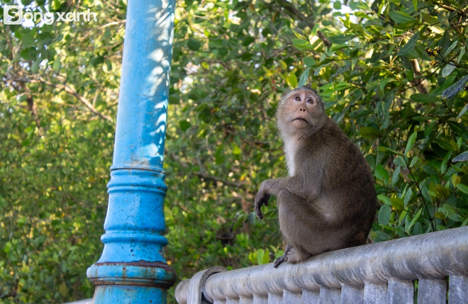 Khám phá bí mật bên trong 