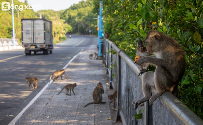 Khám phá bí mật bên trong 