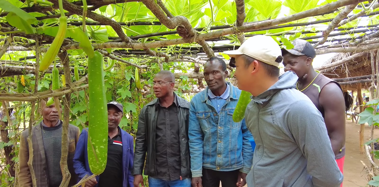 Phó Chủ tịch cùng Bí thư huyện về thăm trang trại của team Quang Linh châu Phi, 'đứng hình' trước giàn củ quả độc lạ từ Việt Nam- Ảnh 1.