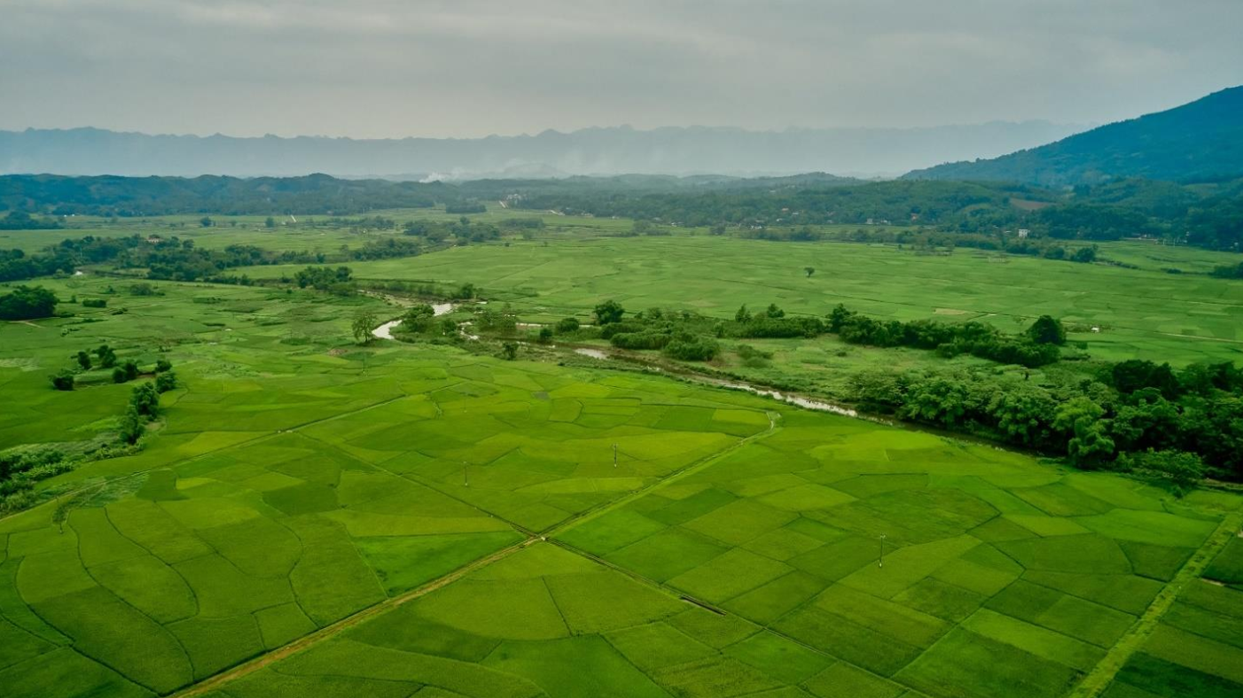 Chuyển đổi mục đích đất, phục vụ phát triển đô thị - Ảnh 1.