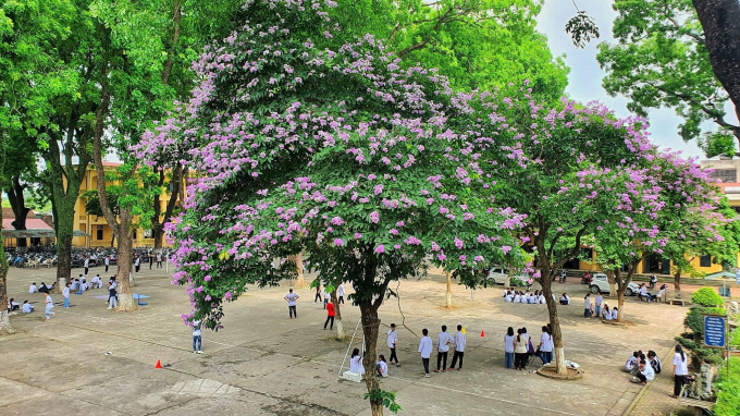 Ngôi trường làng ở Hà Nội: Điểm chuẩn hàng năm thấp nhưng thành tích thi tốt nghiệp 2024 cao, đứng sau mỗi trường Ams ở môn này!- Ảnh 2.