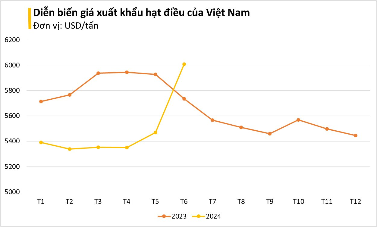 Loại hạt Việt Nam đứng đầu thế giới về xuất khẩu: Mỹ chốt đơn nửa tỷ USD, giá tăng vọt trong tháng 6- Ảnh 1.