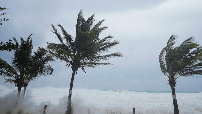 Siêu bão lịch sử “cực kỳ nguy hiểm” đổ bộ: San phẳng cả hòn đảo trong nửa giờ, gây mất điện toàn quốc, chính phủ nhiều nước ban bố cảnh báo khẩn cấp- Ảnh 4.