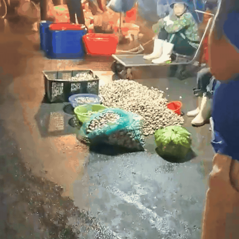 Ghé chợ đầu mối hải sản lớn ở Hải Phòng: Mở từ 1h sáng, cá tôm, cua mực nhảy tanh tách không thiếu thứ gì- Ảnh 8.