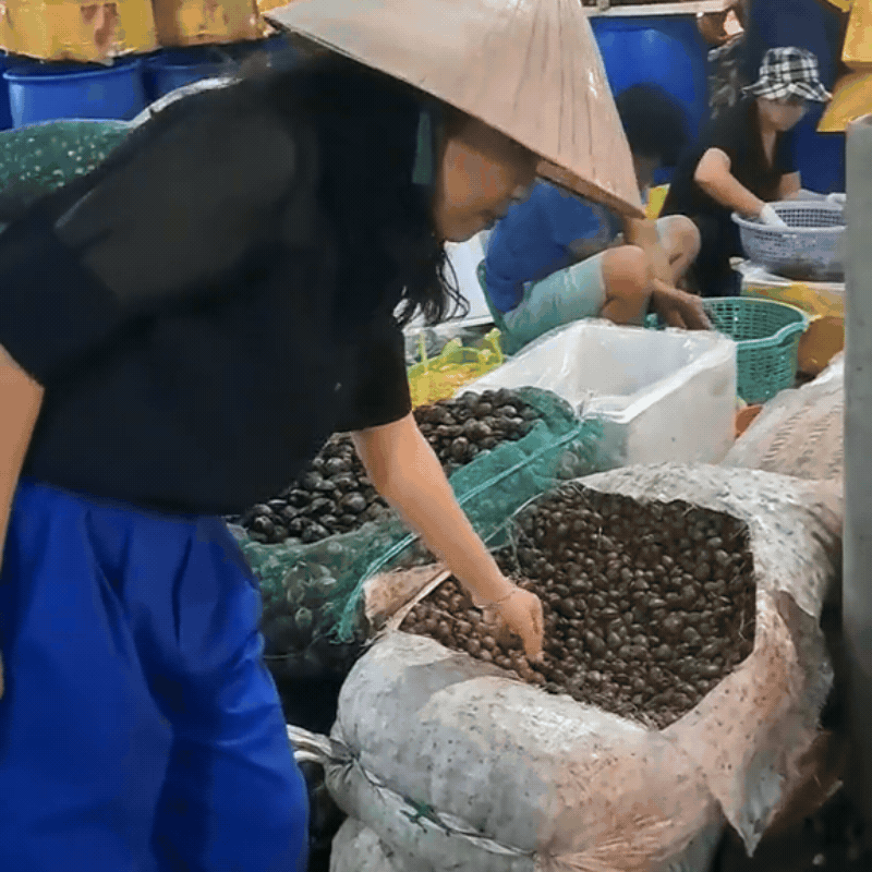 Ghé chợ đầu mối hải sản lớn ở Hải Phòng: Mở từ 1h sáng, cá tôm, cua mực nhảy tanh tách không thiếu thứ gì- Ảnh 5.
