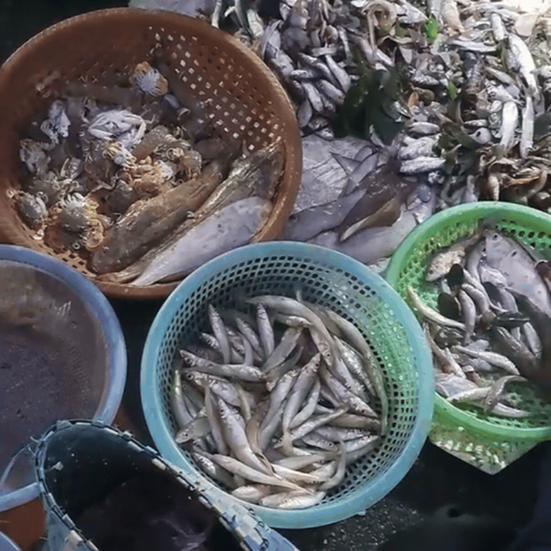 Ghé chợ đầu mối hải sản lớn ở Hải Phòng: Mở từ 1h sáng, cá tôm, cua mực nhảy tanh tách không thiếu thứ gì- Ảnh 1.