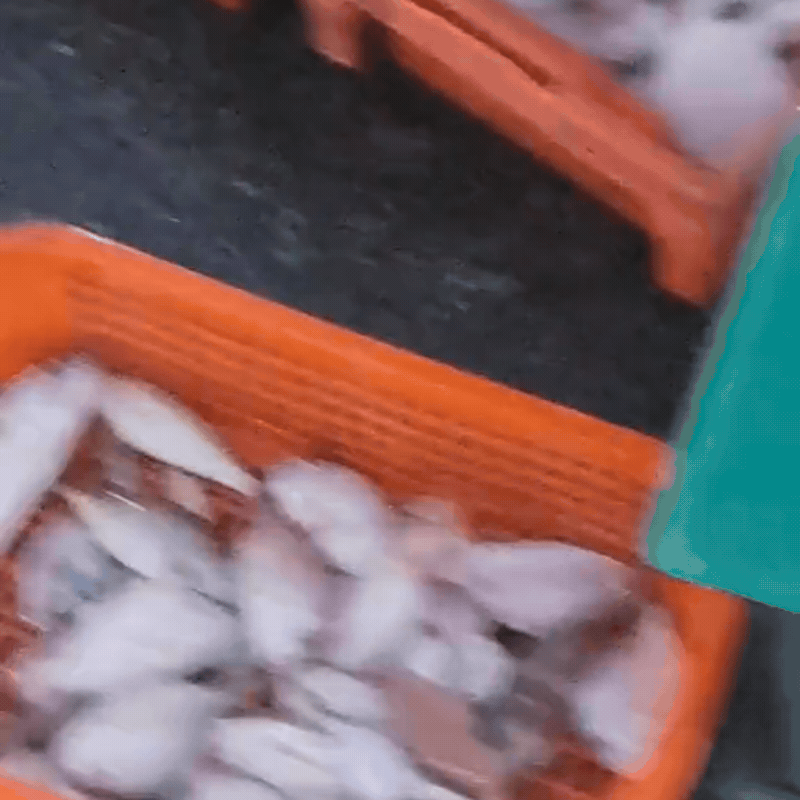 Ghé chợ đầu mối hải sản lớn ở Hải Phòng: Mở từ 1h sáng, cá tôm, cua mực nhảy tanh tách không thiếu thứ gì- Ảnh 22.