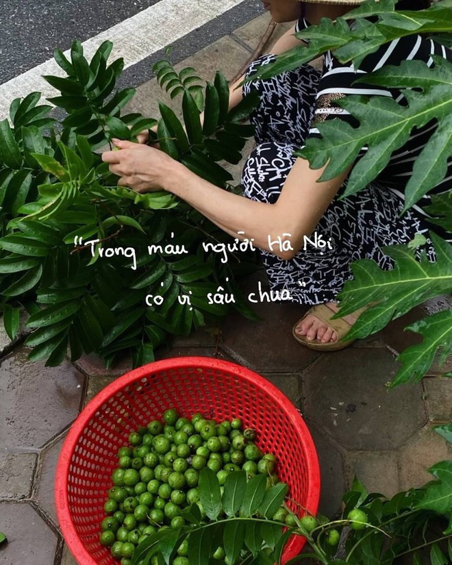 Quà tặng 