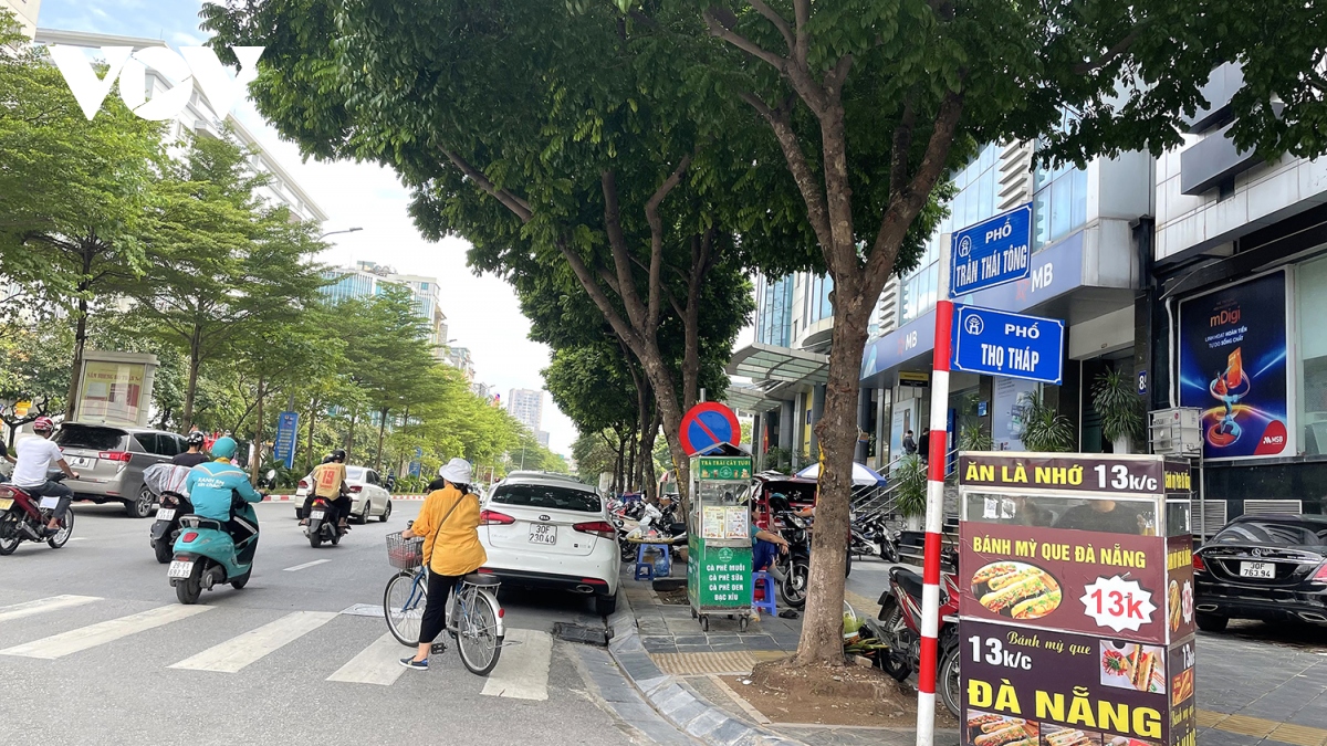Loạt cây xanh bật rễ, tiềm ẩn nguy hiểm với người dân khi mùa mưa bão đến- Ảnh 1. Loạt cây xanh bật rễ, tiềm ẩn nguy hiểm với người dân khi mùa mưa bão đến- Ảnh 1.