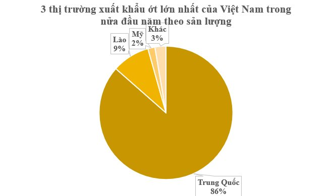 Trung Quốc và Lào đang mạnh tay thu mua một loại quả bán đầy chợ tại Việt Nam: Thu 18 triệu USD trong nửa đầu năm, đồng bằng sông Cửu Long là ‘thủ phủ’- Ảnh 2.