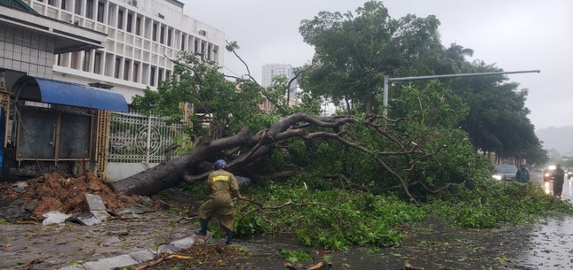 Bão áp sát Quảng Ninh: cây cối đổ rạp, nhiều tuyến đường ngập sâu- Ảnh 7.