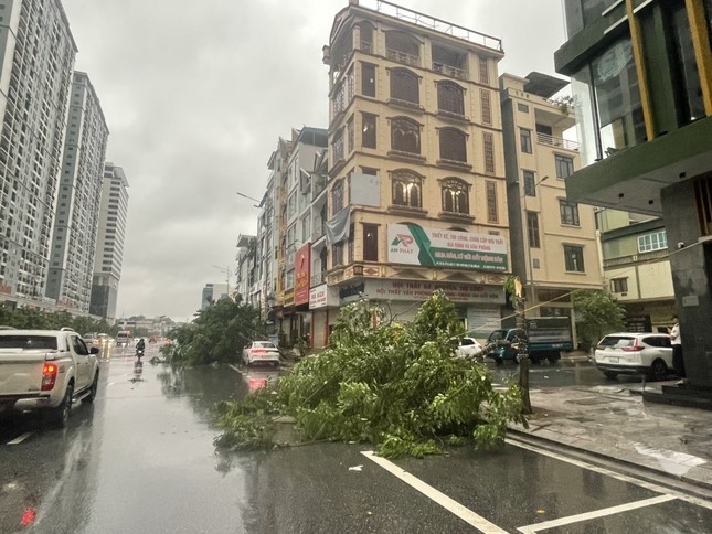 Bão áp sát Quảng Ninh: cây cối đổ rạp, nhiều tuyến đường ngập sâu- Ảnh 1.