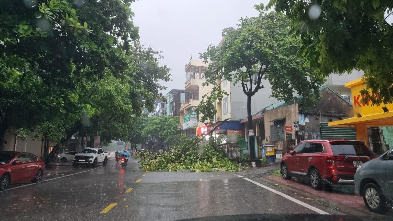 Tin mới nhất về cơn bão số 2: Quảng Ninh đang mưa rất to, gió giật cấp 11- Ảnh 3.