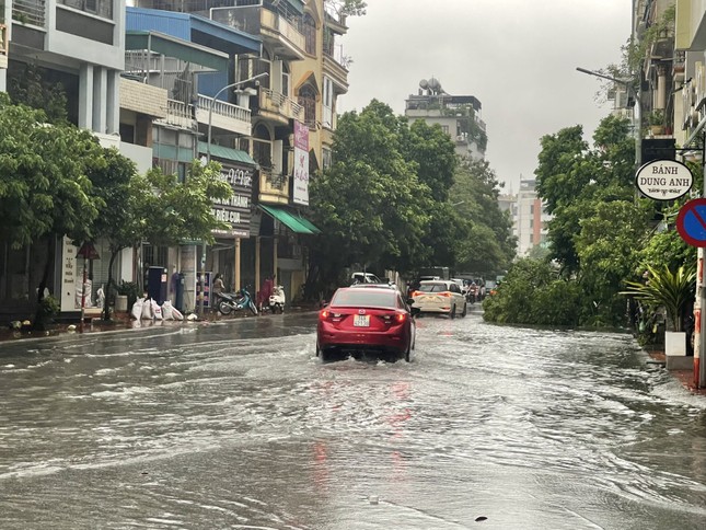 Bão áp sát Quảng Ninh: cây cối đổ rạp, nhiều tuyến đường ngập sâu- Ảnh 4.