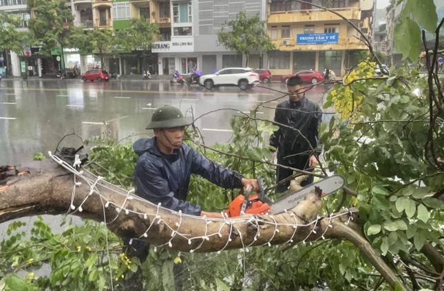 Bão áp sát Quảng Ninh: cây cối đổ rạp, nhiều tuyến đường ngập sâu- Ảnh 13.