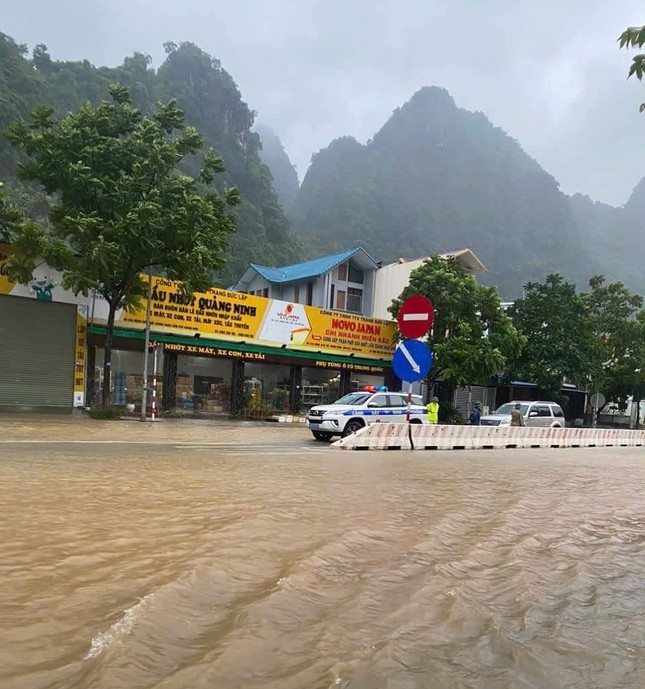 Bão áp sát Quảng Ninh: cây cối đổ rạp, nhiều tuyến đường ngập sâu- Ảnh 10.