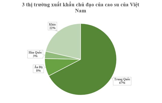 Loại cây quý mang về cho Việt Nam hơn 1 tỷ USD trong 6 tháng đầu năm: Ấn Độ, Hàn Quốc liên tục lùng mua, 1/10 sản lượng của thế giới đang nằm ở nước ta- Ảnh 3.