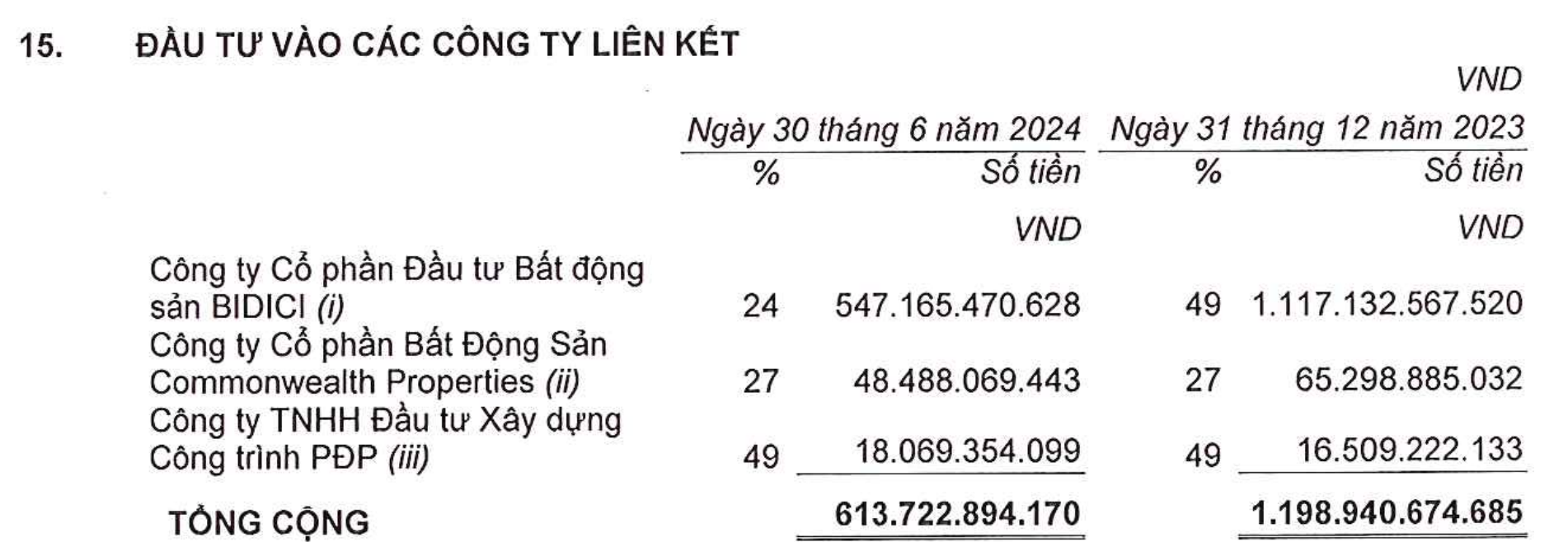 Đại gia bất động sản vốn hóa gần 17.000 tỷ đồng nhưng doanh thu vỏn vẹn 8 tỷ đồng, sống nhờ bán công ty con- Ảnh 1.