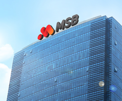 11 cổ đông nắm giữ 35% vốn MSB: Nhiều doanh nghiệp liên quan đến ROX Group- Ảnh 1.