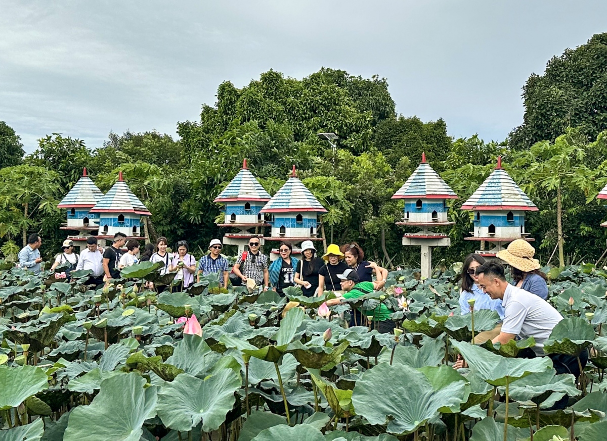 Xúc tiến điểm đến du lịch giữa Hà Nội, Ninh Bình, Kon Tum với các tỉnh Tây Nam Bộ- Ảnh 2.