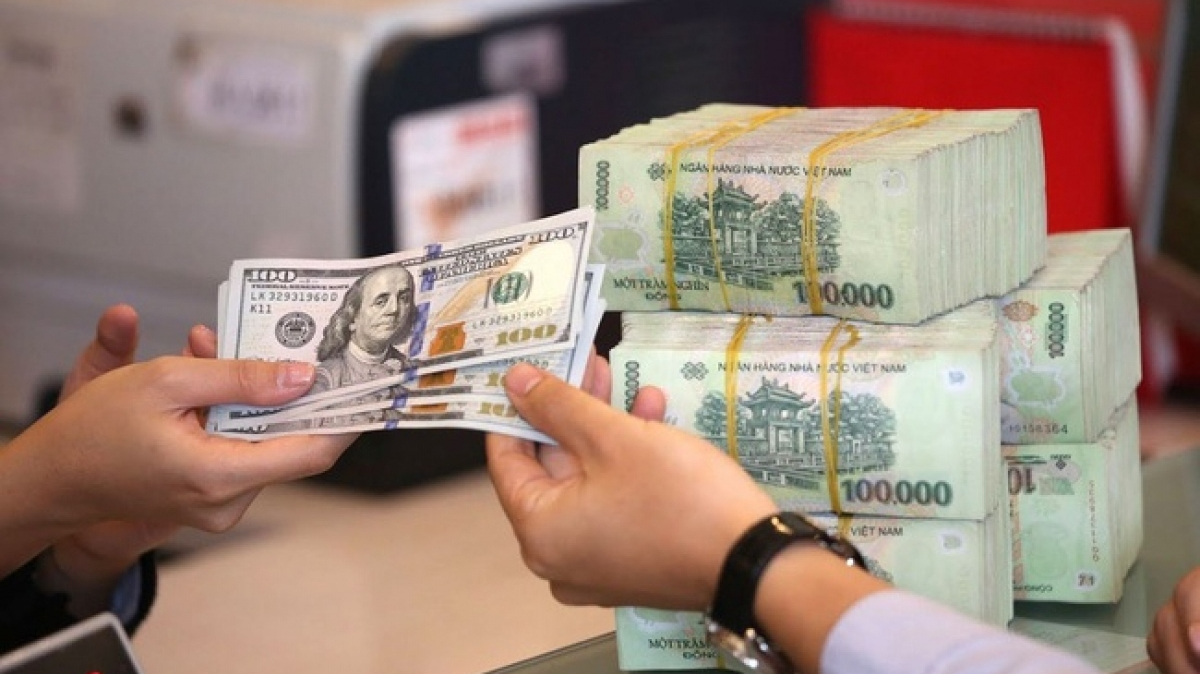 Tỷ giá USD/VND có thể tăng 6% trong năm nay- Ảnh 1.