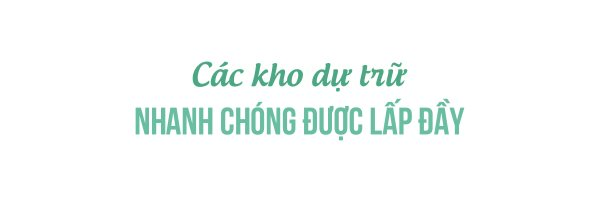 Trung Quốc ồ ạt gia tăng dự trữ mọi thứ bất chấp nhu cầu trong nước yếu đi trong khi giá cả đắt đỏ: Lý do là ông Trump?- Ảnh 4.