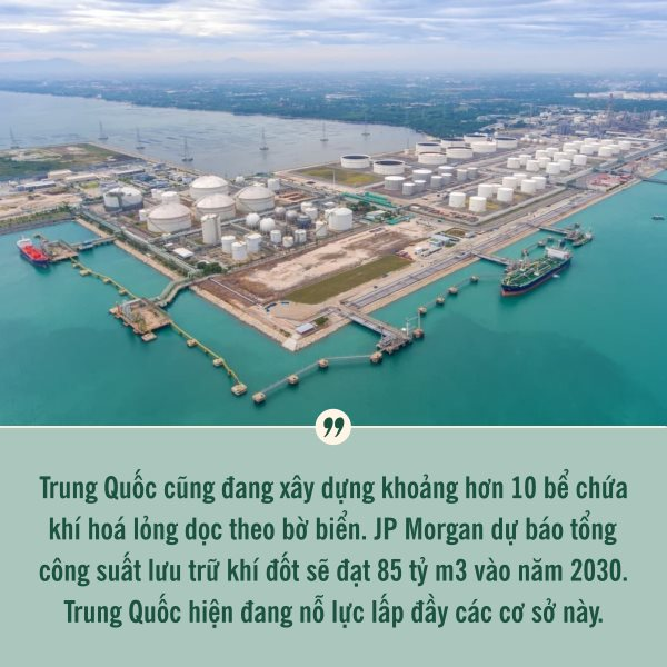 Trung Quốc ồ ạt gia tăng dự trữ mọi thứ bất chấp nhu cầu trong nước yếu đi trong khi giá cả đắt đỏ: Lý do là ông Trump?- Ảnh 5.