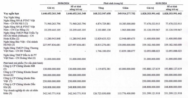 Hải Phát báo lãi ròng 'đi lùi' 62%, Chủ tịch Đỗ Quý Hải giảm mạnh thu nhập- Ảnh 1.