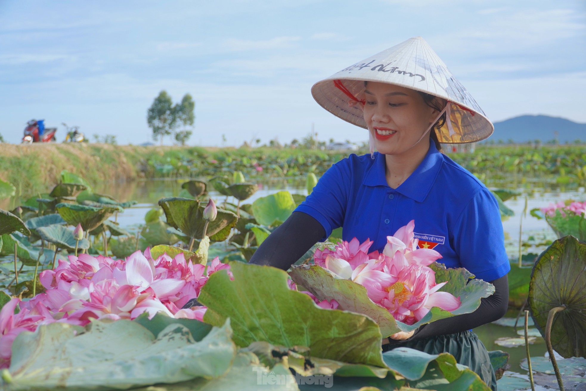 Ra đầm hái sen lúc rạng sáng, mỗi ngày thu tiền triệu- Ảnh 15.