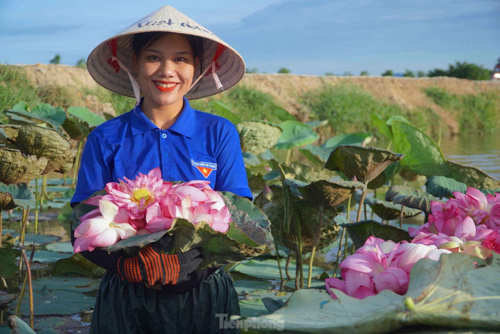 Ra đầm hái sen lúc rạng sáng, mỗi ngày thu tiền triệu- Ảnh 3.